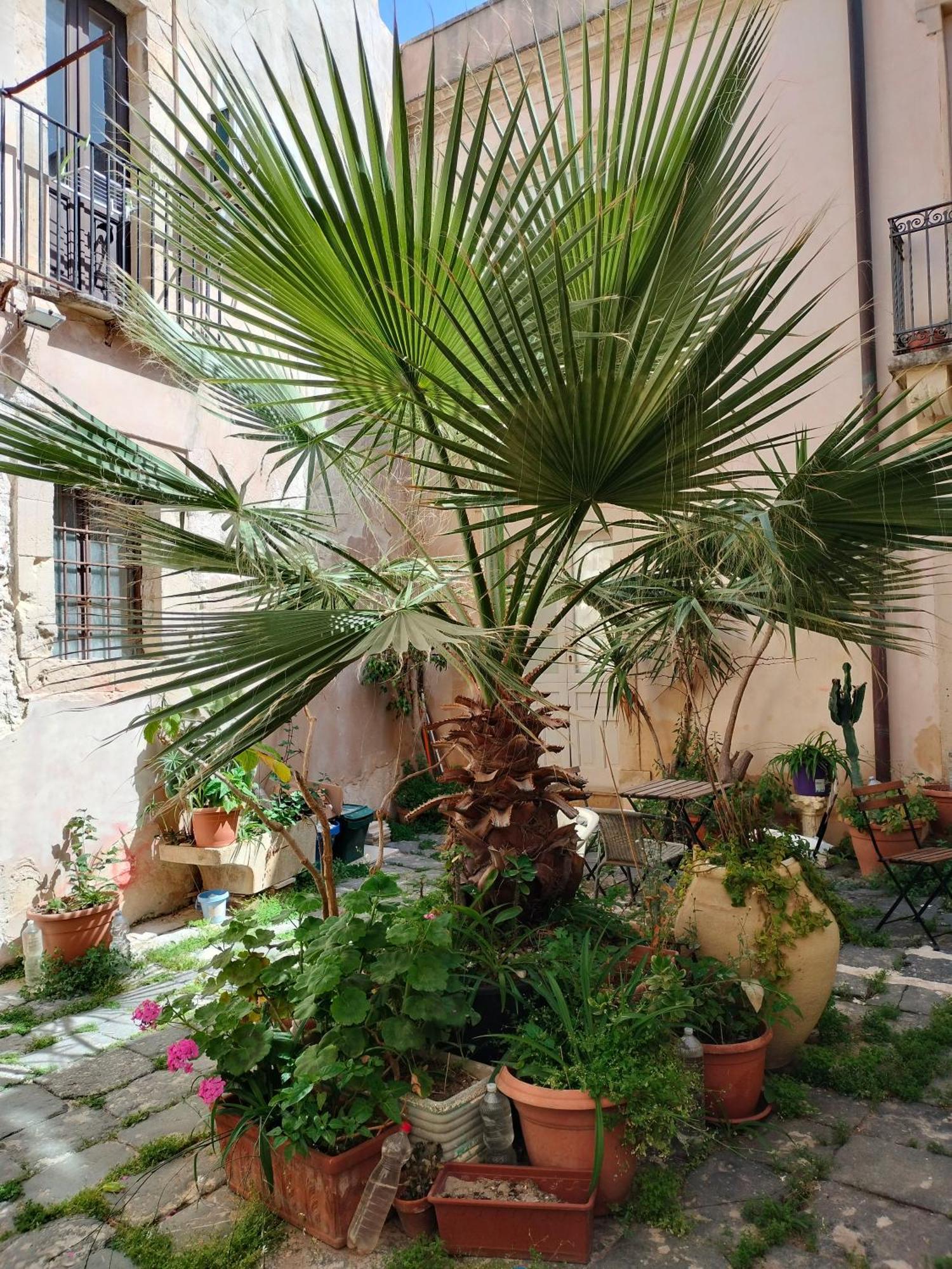 Casa La Palma Di Ortigia Apartment Syracuse Exterior photo